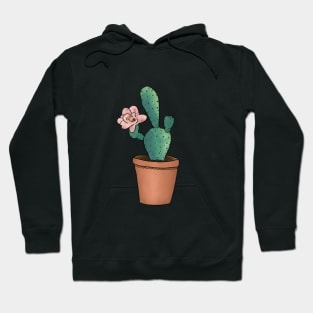 Kaktus Hoodie